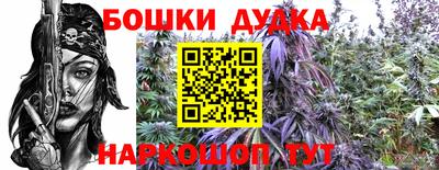 молекула духа Ликино-Дулёво