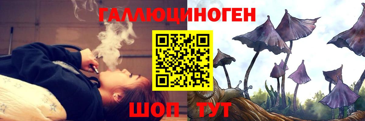Псилоцибиновые грибы Psilocybe Тверь